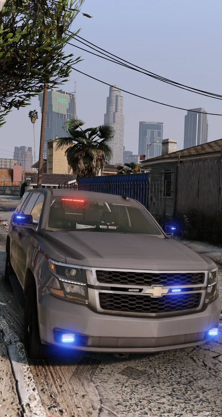 The Sarasota Initiative patrol scene
